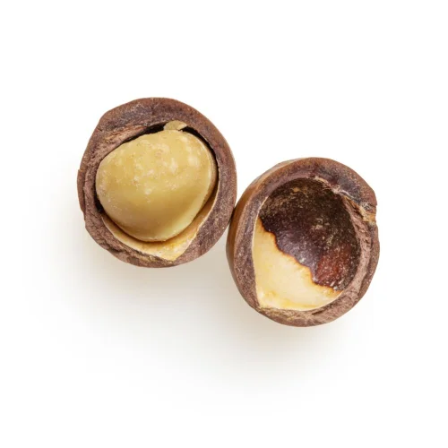 macadamia-nuts.medium-square